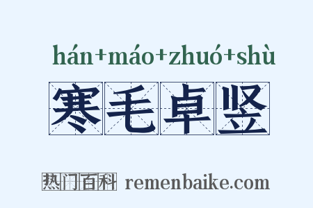 寒毛卓竖是什么意思的图片
